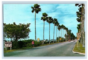 Vintage Edgewater Drive Dunedin, Florida. Postcard P132E