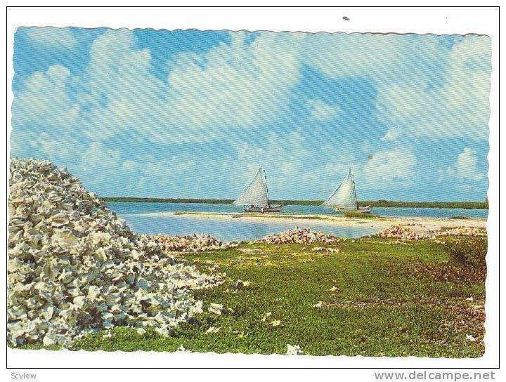 Sailboats, view on Lac, Bonaire, Netherlands Antilles, 50-70s