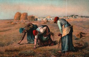 Vintage Postcard 1912 Women in Field Working Gathering Wheat