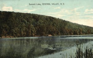 Vintage Postcard 1914 Summit Lake Central Valley New York T.L. Riffenbary Pub.