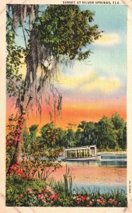 Vintage Postcard 1938 Riverboat Trees Nature Sunset at Silver Springs Florida FL