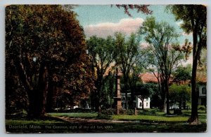 Deerfield  Massachusetts   The Common  Postcard