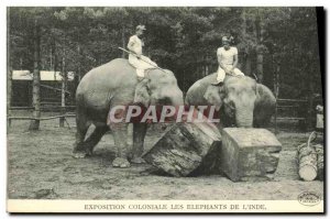 Old Postcard Paris Colonial Exhibition The Elephants Of The india