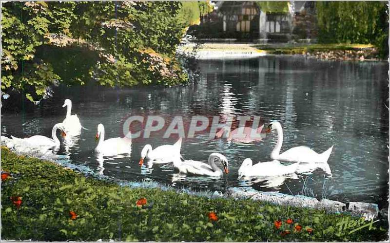 Modern Postcard Vittel Place water in the Swan Park