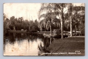 RPPC SARASOTA JUNGLE GARDENS SARASOTA FLORIDA REAL PHOTO POSTCARD 1947