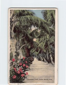 Postcard Cocoanut Trial, Palm Beach, Florida
