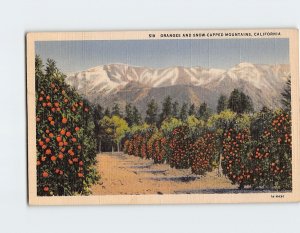 Postcard Oranges And Snow Capped Mountains California USA