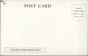 St. Paul MN Paul Reichelt Series c1900 Postcard FORTS