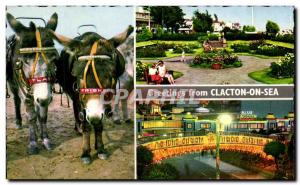 Old Postcard Greetings From Clacton On Sea Beach Donkeys The Sunken Gardens T...