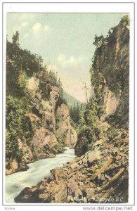 Partial Scene, Albert Canyon, British Columbia, Canada, 1900-1910s