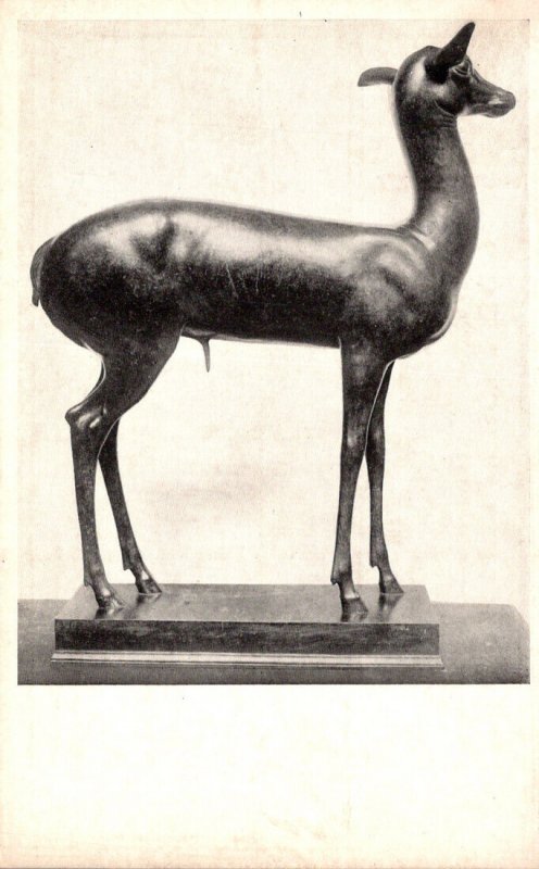 Illinois Chicago Art Institute Gazelle Or Fawn
