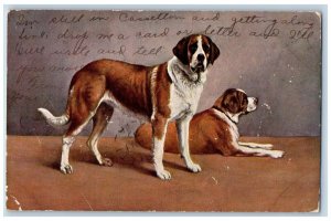 Alberta Canada Postcard Saint Bernard Dogs Animals 1909 Posted Antique