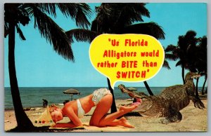 Postcard 1965 Us Florida Alligators Would Rather Bite Than Switch Pretty Lady