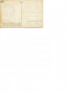 Horses. Black, White, Red, by Herring Old vintage Stengel Postcard # 29082