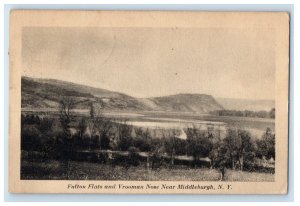 1924 Fulton Flats And Vrooman Nose Near Middleburg New York NY Vintage Postcard 