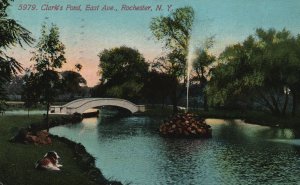 Vintage Postcard 1911 Clark's Pond Scenic View East Avenue Rochester New York NY