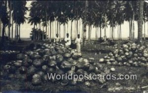 Real Photo Coconut Tapper Malaya, Malaysia Unused 