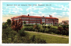 Postcard PARK SCENE Hammond Indiana IN AM0538