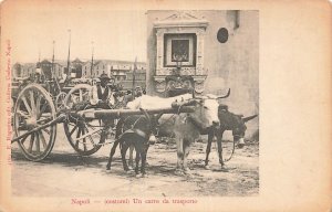 Naples Italy~Ox Donkey Cart Transport Old Italian Street Scene 1900s Postcard