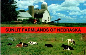 Nebraska - Sunlit Farmlands - [NE-046]