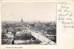 Panorama Of Lansing  Lansing MI 