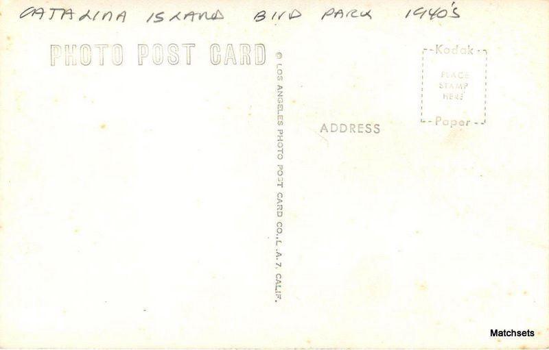 1940s Catalina Bird Park CALIFORNIA Crowned Crane RPPC postcard 9383