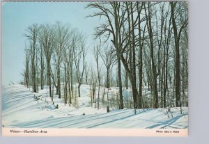 Winter, Rural Scene, Hamilton, Ontario, Chrome Postcard