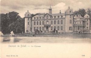 BR55185 Le chateau Beloeil belgium