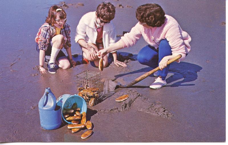 US    PC914  RAZOR CLAM DIGGING, COLUMBIA RIVER