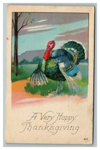 Vintage 1910's Thanksgiving Postcard Giant Turkey Country Meadow Nice Card