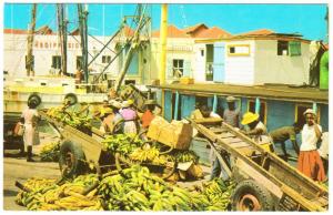 Barbados Bridgetown Careenage Unloading Bananas from Boat 1970s Postcard