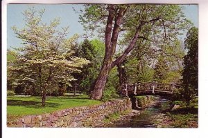 Rustic Bridge, Memorial Park Maplewood, New Jersey