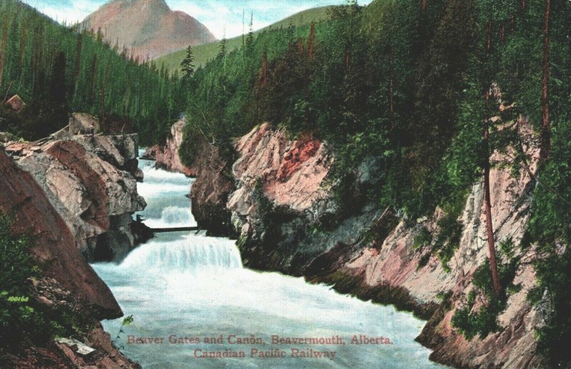 Canada Beaver Gates Beavermouth Alberta Vintage Postcard 03.68
