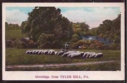 PA Tyler Hill Greetings From