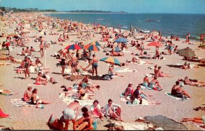 Massachusetts Cape Cod Falmouth Scene On Old Silver Beach