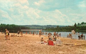 Vintage Postcard Hills Creek Park Vacation Playground Wellsboro Pennsylvania PA