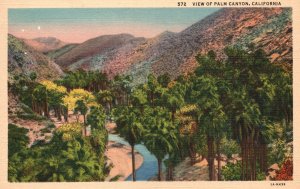 Vintage Postcard View of Palm Canyon Scenic River and Mountains California CA