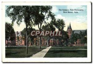 Old Postcard the Yale New Haven university campus