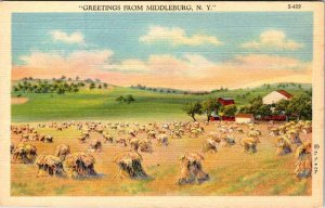 Postcard FARM SCENE Middleburg New York NY AL7879
