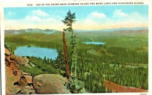 Vintage Postcard Grand Mesa Colorado Ward Lake Aerial View
