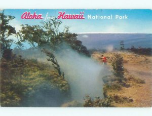 Pre-1980 NATURE SCENE Hawaii National Park - Island Of Hawaii HI AD5683