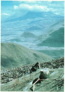 Vintage Postcard Mount St. Helens Devastation Results After Blast Washington WA