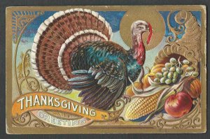 POST  CARD THANKSGIVING GREETING W/TURKEY &  VEGETABLES EMBOSSED POSTED