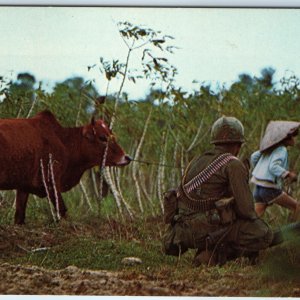 c1960s RARE Vietnam War Chrome Photo PC Army Soldier Girl Cow, Life Goes On A230