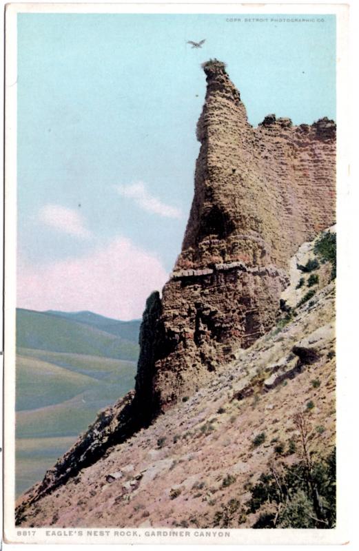 YELLOWSTONE, EAGLE'S NEST ROCK, GARDINER CANYON, DIVIDED BACK