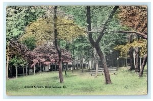 Joliet Grove New Lenox Illinois Hand Colored Vintage Antique Postcard 