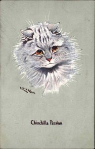 Chinchilla Persian Cat Louis Wain Prize Winners #536 c1910 Postcard