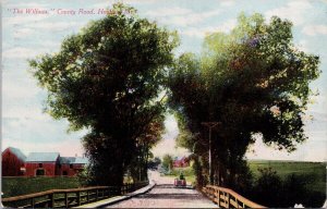 The Willows County Road Houlton Maine ME c1910 Berry Paper Co Postcard H53