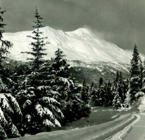 RPPC Mount Mt Taylor WInter Wonderland Alaska AK UNP Postcard Unused B14