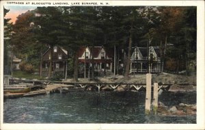 Lake Sunapee New Hampshire NH Blodgetts Landing Cottages Vintage Postcard